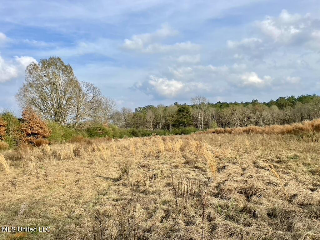 4 Nola Road Northeast Brookhaven, MS 39601 - Photo 7 of 36 E36CBFEA-62EE-4D31-BF4C-2403D6E692FD_1_1