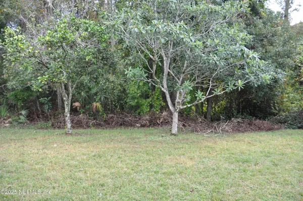 a view of a yard with a tree