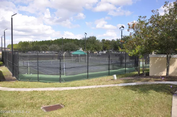 a view of a tennis ground with a large tree
