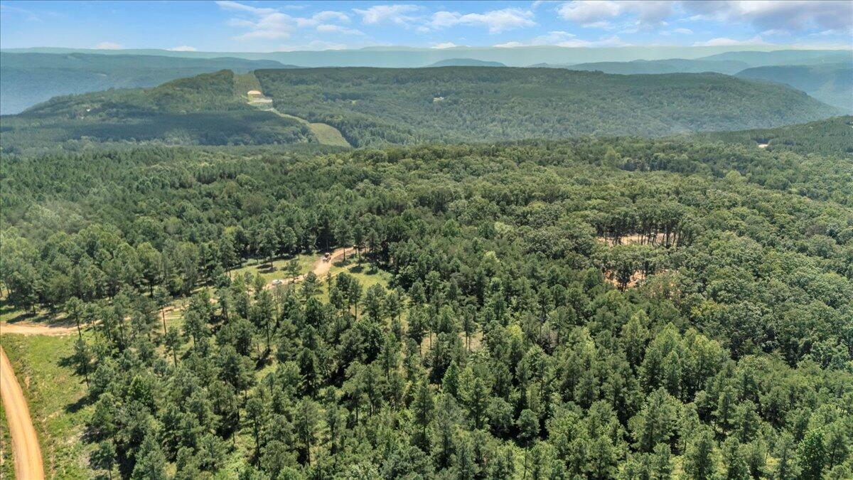 0 Musket Road, Unit 1324 Guild, TN 37340 - Photo 14 of 16 09-DJI_20250819122305_0054_D