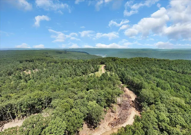 $475,000 | 0 Musket Road, Unit 1324, Guild, TN 37340