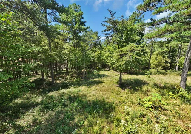 $475,000 | 0 Musket Road, Unit 1324, Guild, TN 37340