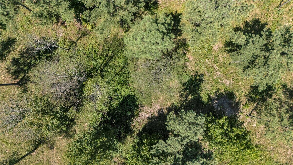 0 Musket Road, Unit 1324 Guild, TN 37340 - Photo 5 of 16 10-DJI_20250819122344_0057_D