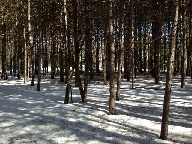 419-17 Bonkowski Road Three Lakes, WI 54562 - Photo 11 of 11 Gallery Image 11