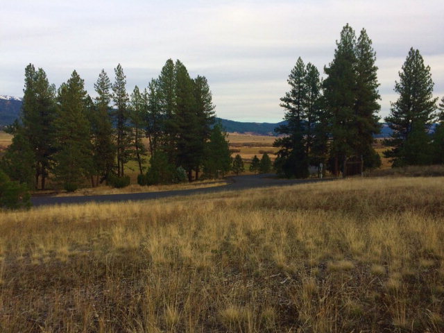 B11-l9 Hot Springs Road, Unit 9 New Meadows, ID 83654 - Photo 5 of 20