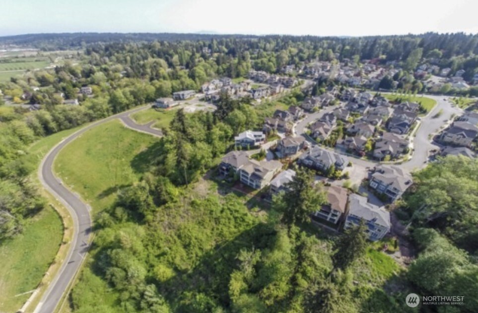 15410 Northeast 103rd Way Redmond, WA 98052 - Photo 2 of 20 a view of a forest with a street