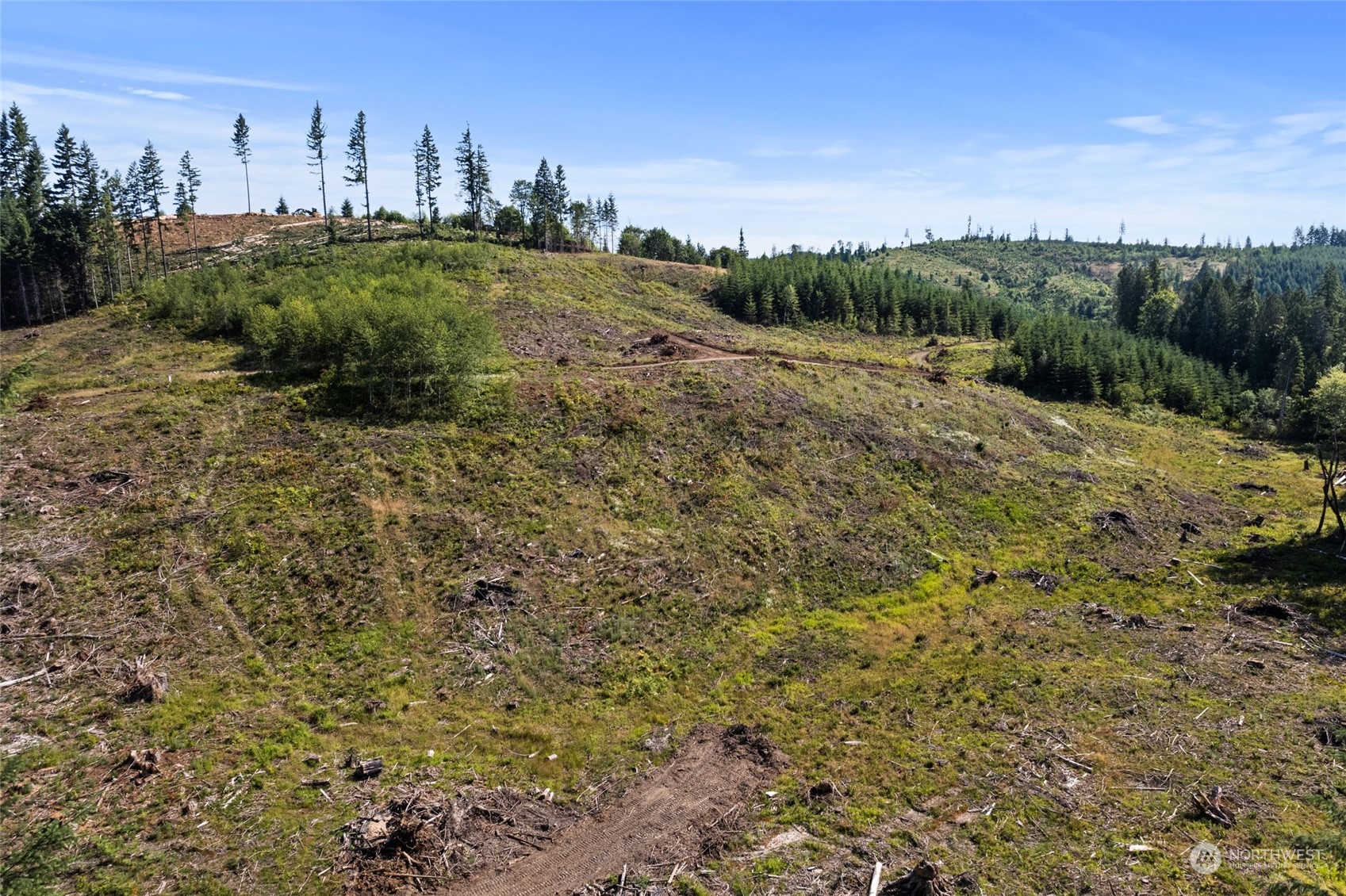 1 Bunker Creek Road Chehalis, WA 98532 - Photo 7 of 15 a view of a field with an trees
