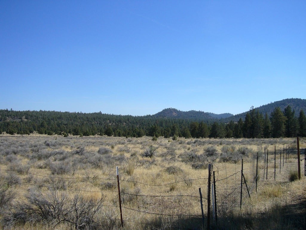640 Acres Red Rock Road Macdoel, CA 96058 - Photo 19 of 24 Gallery Image 19