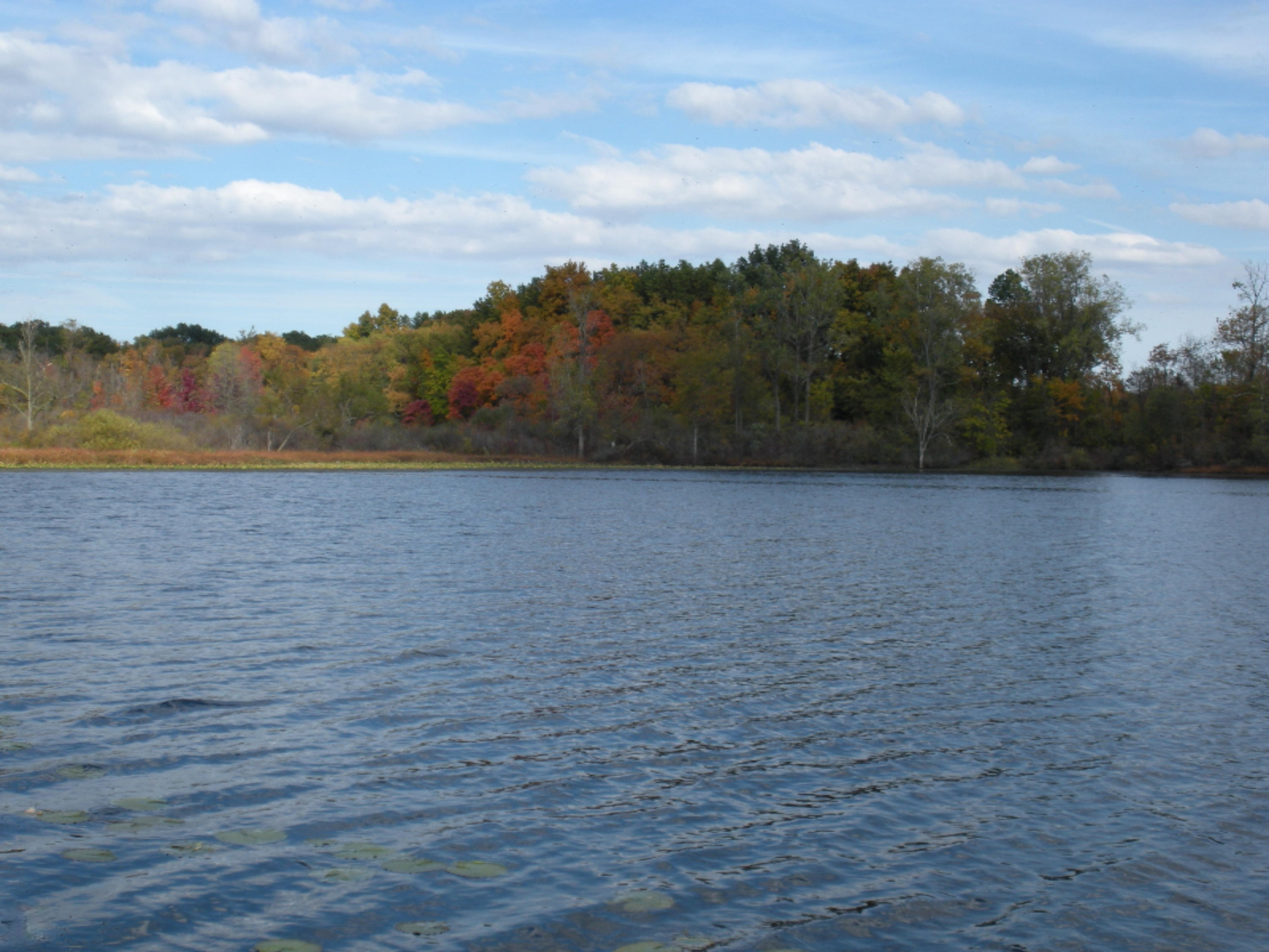 1995 Sage Road Buchanan, MI 49107 - Photo 2 of 6 Lake Pictures 007