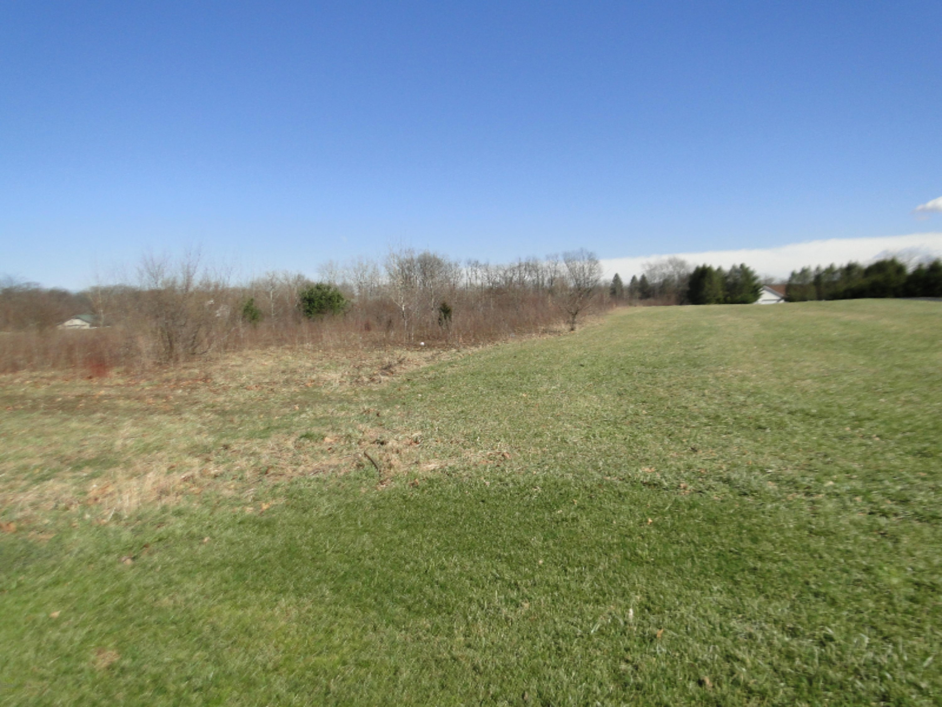 1995 Sage Road Buchanan, MI 49107 - Photo 6 of 6 DSC09954