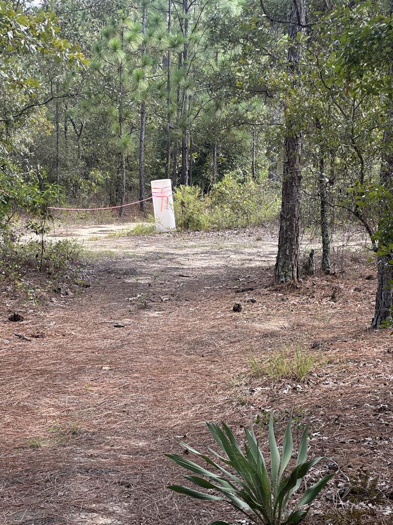 -6.17 Acres) Pineknot Road Box Springs, GA 31801 - Photo 9 of 11 Gallery Image 9