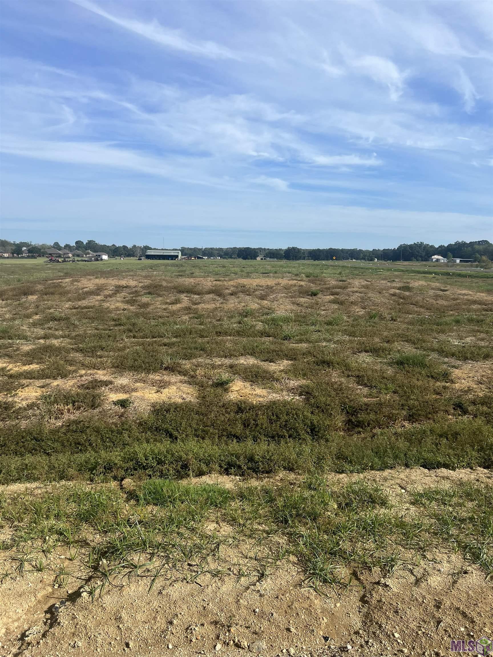 Lot # Buddy Gore Road Gonzales, LA 70737 - Photo 4 of 10