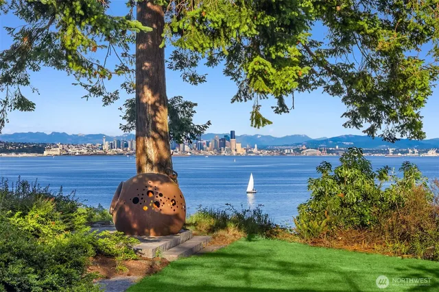 a view of a backyard with plants