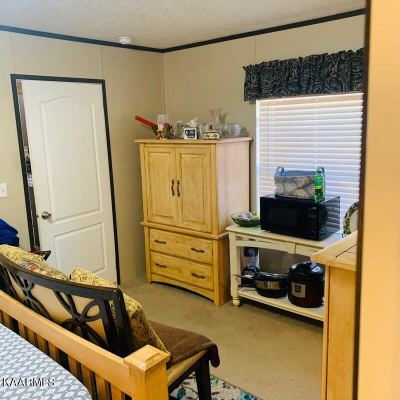 1111 Little Alpine Road Seymour, TN 37865 - Photo 7 of 13 Bedroom