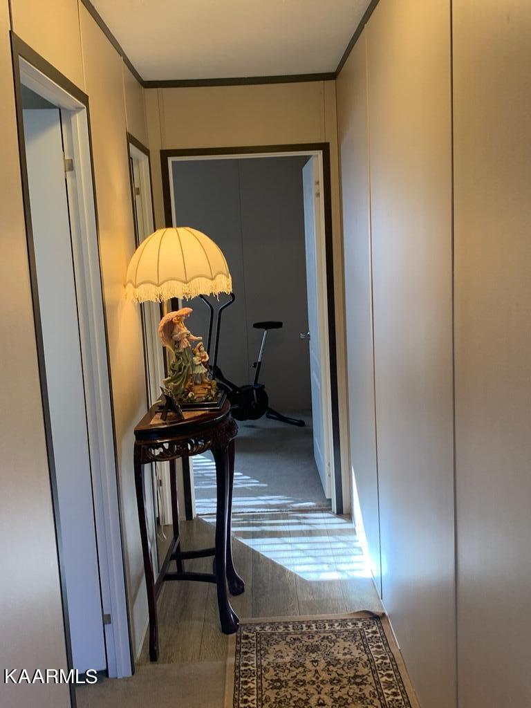 1111 Little Alpine Road Seymour, TN 37865 - Photo 9 of 13 Hallway