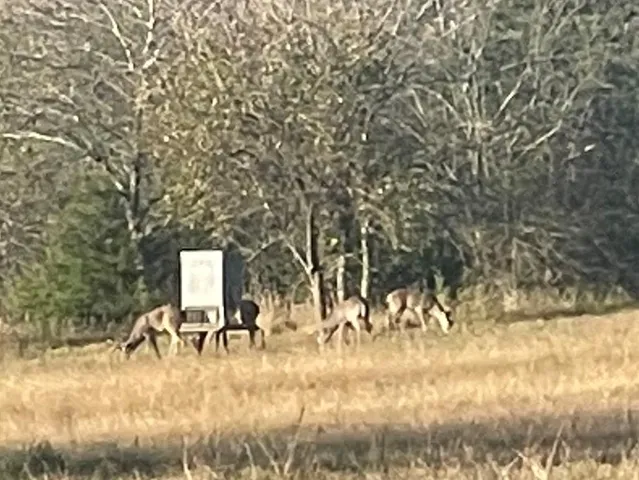 a view of yard with seating space
