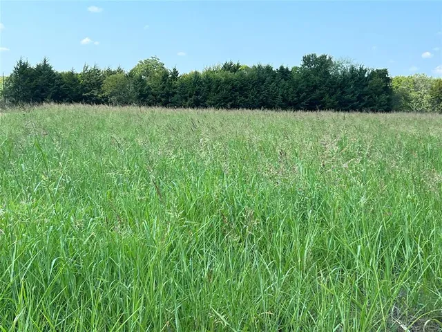 a view of a field with an ocean