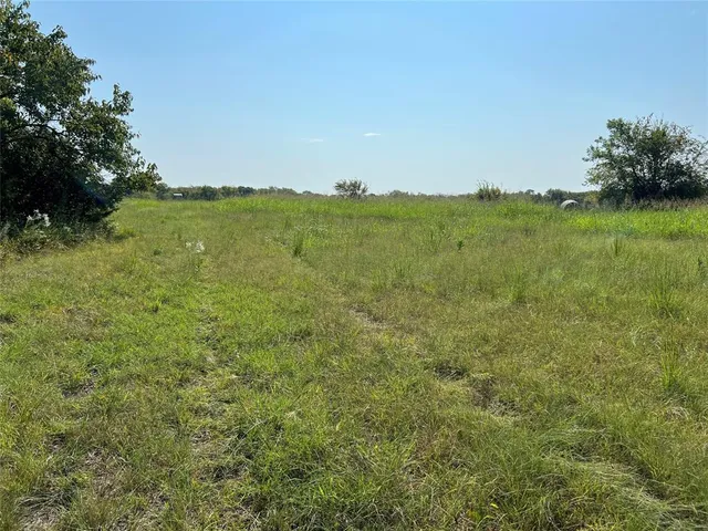 a view of a field with an trees in the background