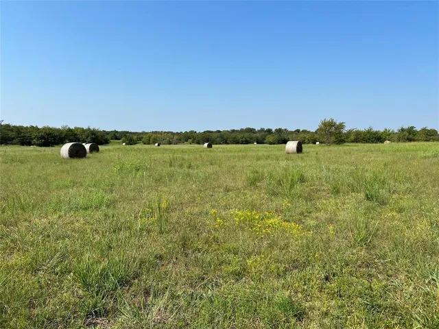 a view of a lush green space