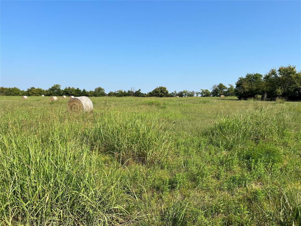 4145 County Road 4145 Cooper, TX 75432 - Photo 28 of 30 a view of lake and mountain view