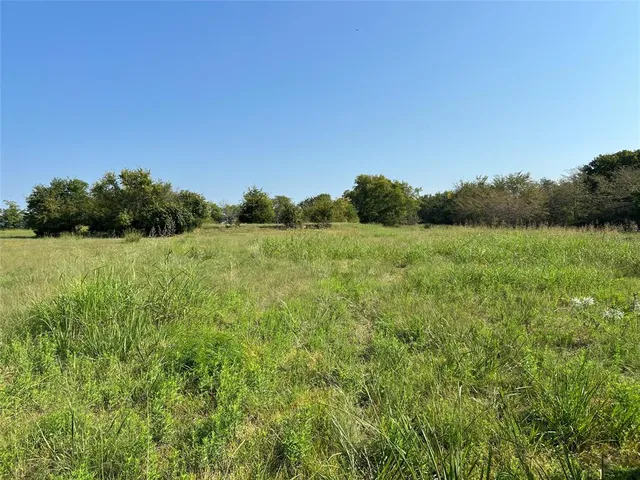 a view of a garden from a bench