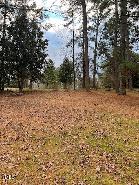 1480 Spring Valley Lake Road Henderson, NC 27537 - Photo 5 of 10 a backyard of a house with lots of green space
