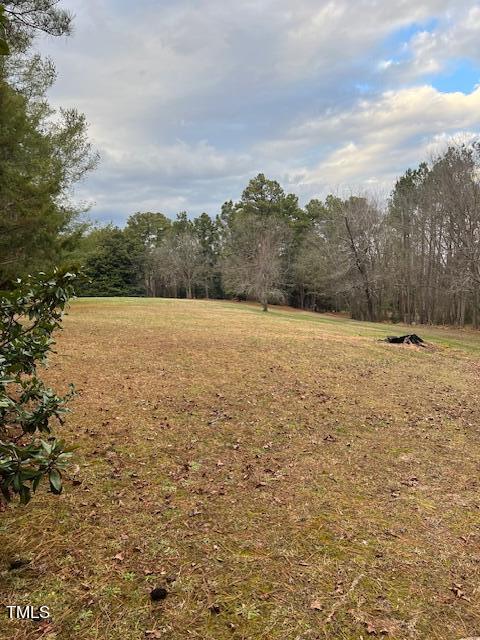 1480 Spring Valley Lake Road Henderson, NC 27537 - Photo 9 of 10 a view of an ocean