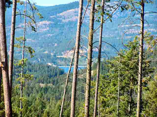 904 Mingo Mountain Road Kettle Falls, WA 99141 - Photo 8 of 9 Gallery Image 8