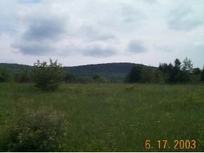0 Plantation Road Hyde Park, VT 05655 - Photo 1 of 1 Gallery Image 1