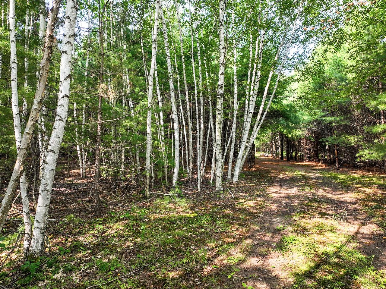 Lot 2 O Neil Road Eagle River, WI 54521 - Photo 23 of 23 Gallery Image 23