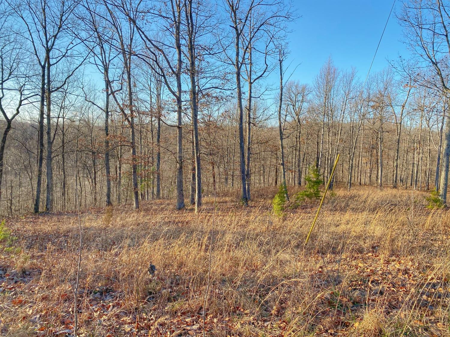 1 Lower Cane Creek Road Stanton, KY 40380 - Photo 5 of 6 Photo 5
