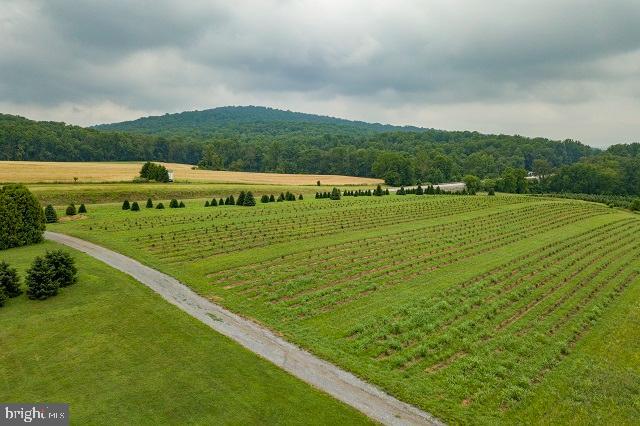 262 Hopeland Road Lititz, PA 17543 - Photo 13 of 74