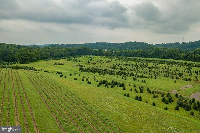 262 Hopeland Road Lititz, PA 17543 - Photo 14 of 74