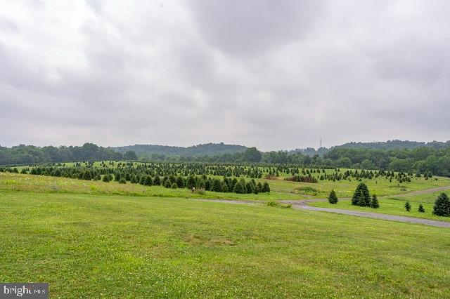 262 Hopeland Road Lititz, PA 17543 - Photo 30 of 74