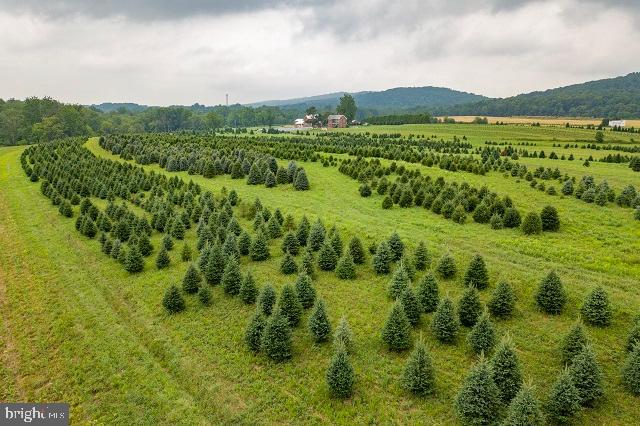 262 Hopeland Road Lititz, PA 17543 - Photo 6 of 74