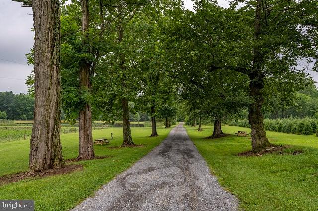 262 Hopeland Road Lititz, PA 17543 - Photo 52 of 74