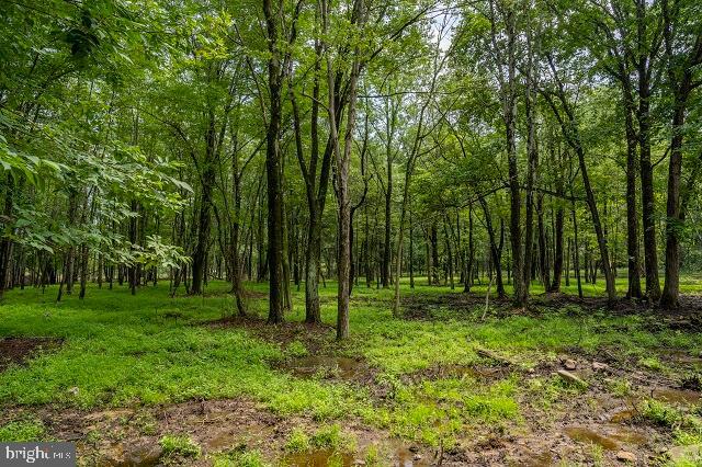 262 Hopeland Road Lititz, PA 17543 - Photo 62 of 74