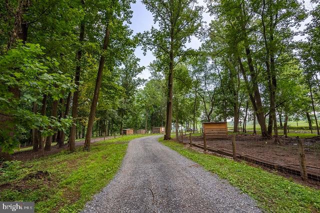 262 Hopeland Road Lititz, PA 17543 - Photo 64 of 74