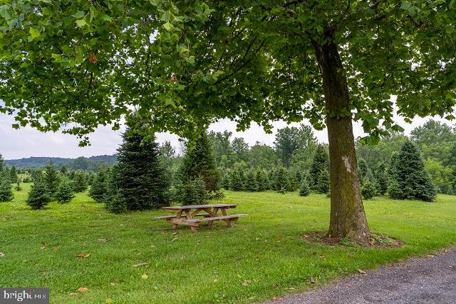 262 Hopeland Road Lititz, PA 17543 - Photo 74 of 74