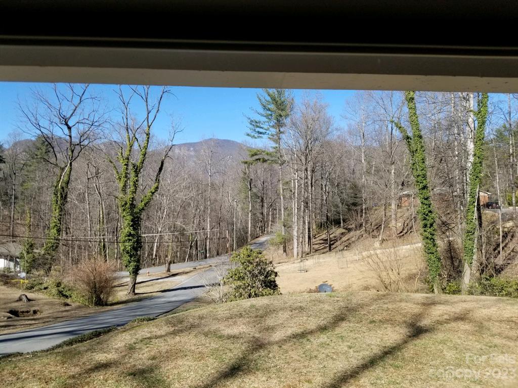 265 Washburn Road Lake Lure, NC 28746 - Photo 4 of 15 Gallery Image 4