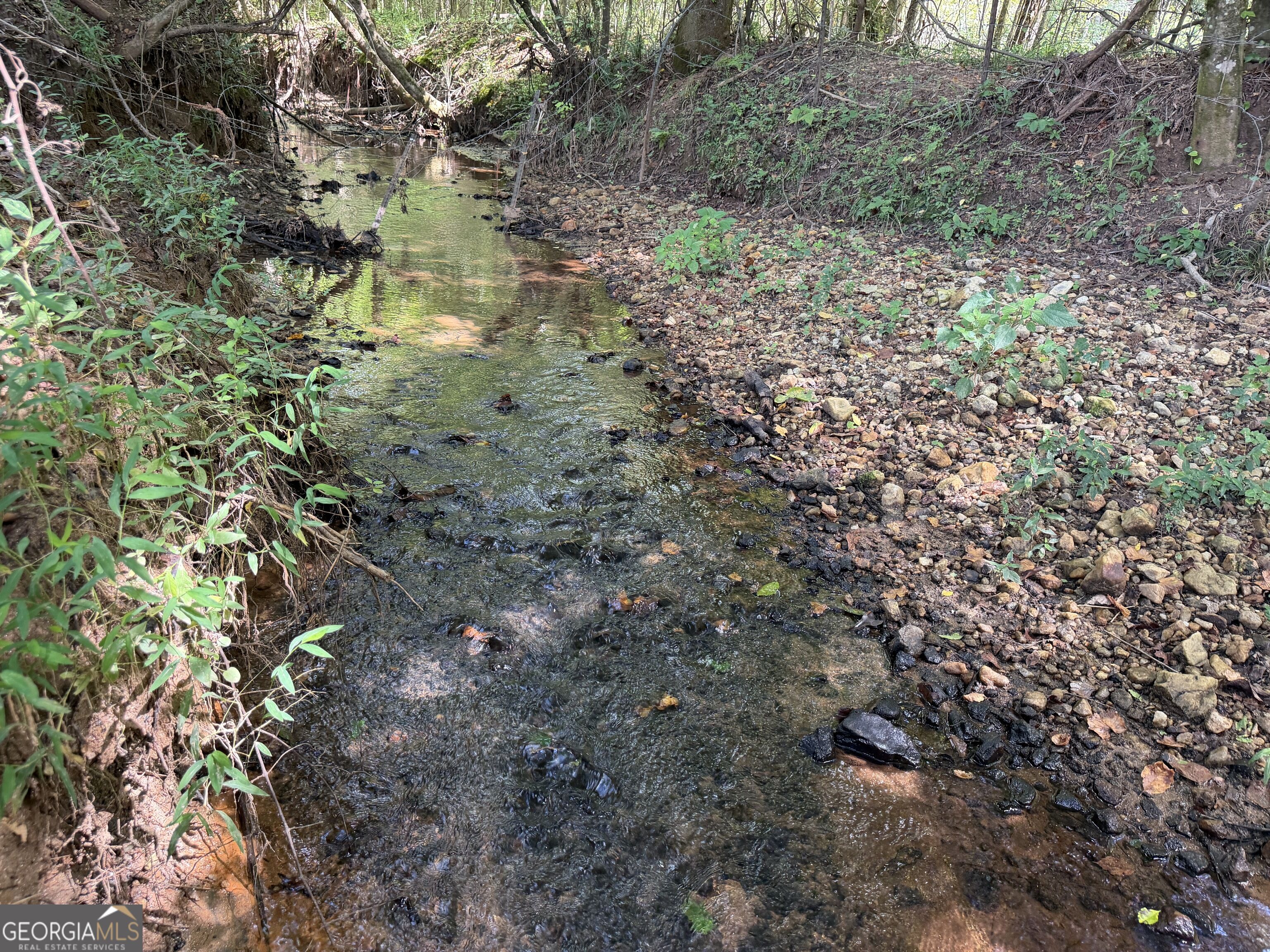 7.65-acres Baker Road Shiloh, GA 31826 - Photo 20 of 24 Gallery Image 20