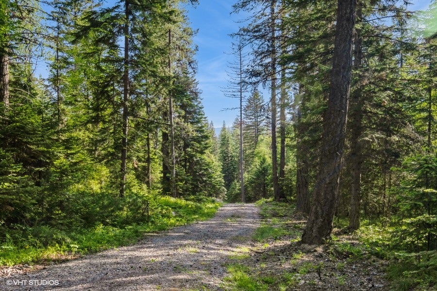 19132 High Rd Lane Bigfork, MT 59911 - Photo 3 of 22 driveway to secluded Montana hideaway