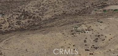 38497 Trifone Road Hemet, CA 92544 - Photo 5 of 5 a close up of a plant