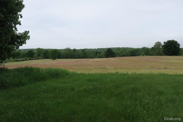 3148 Kings Mill Road North Branch, MI 48461 - Photo 41 of 43
