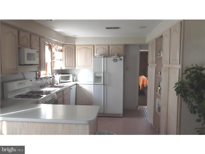 2347 Mole Road Secane, PA 19018 - Photo 3 of 20 Kitchen