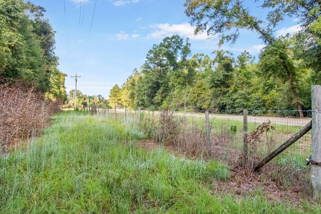 Undisclosed Address Gordon, AL 36343 - Photo 5 of 22
