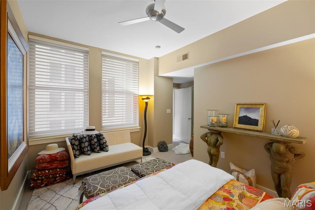 314 North Broadway, Unit 1005 St. Louis, MO 63102 - Photo 12 of 29