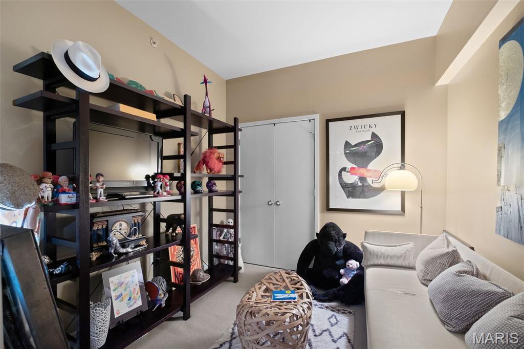 314 North Broadway, Unit 1005 St. Louis, MO 63102 - Photo 16 of 29