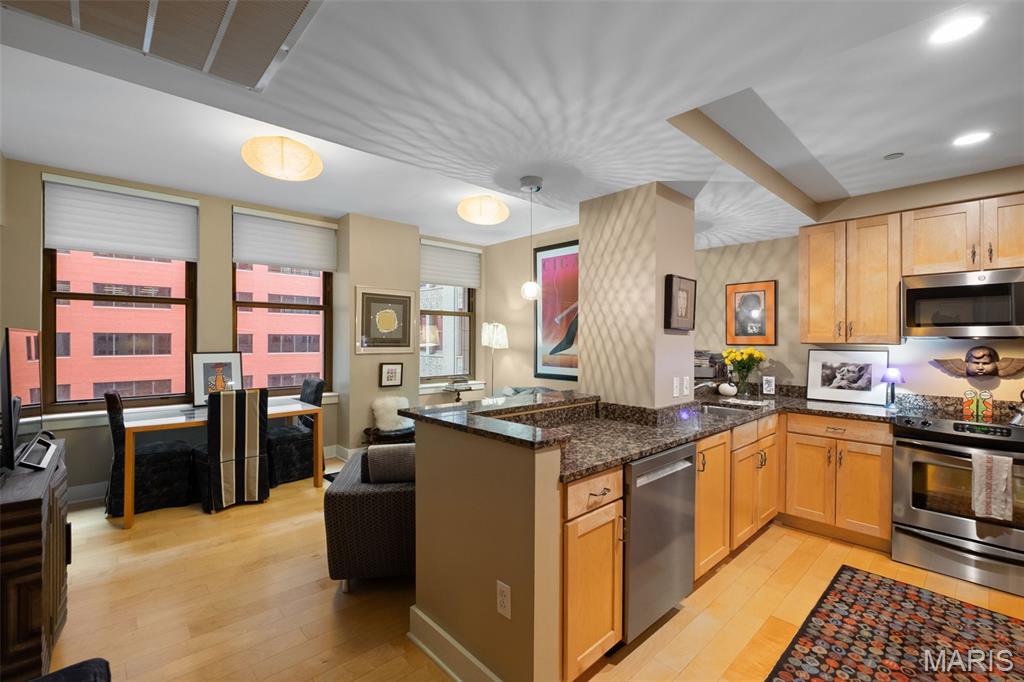 314 North Broadway, Unit 1005 St. Louis, MO 63102 - Photo 5 of 29