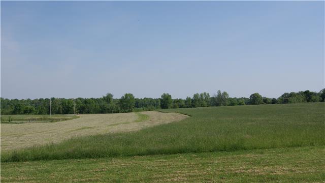 363 West Hester Road Cottontown, TN 37048 - Photo 3 of 14 a view of a lake view